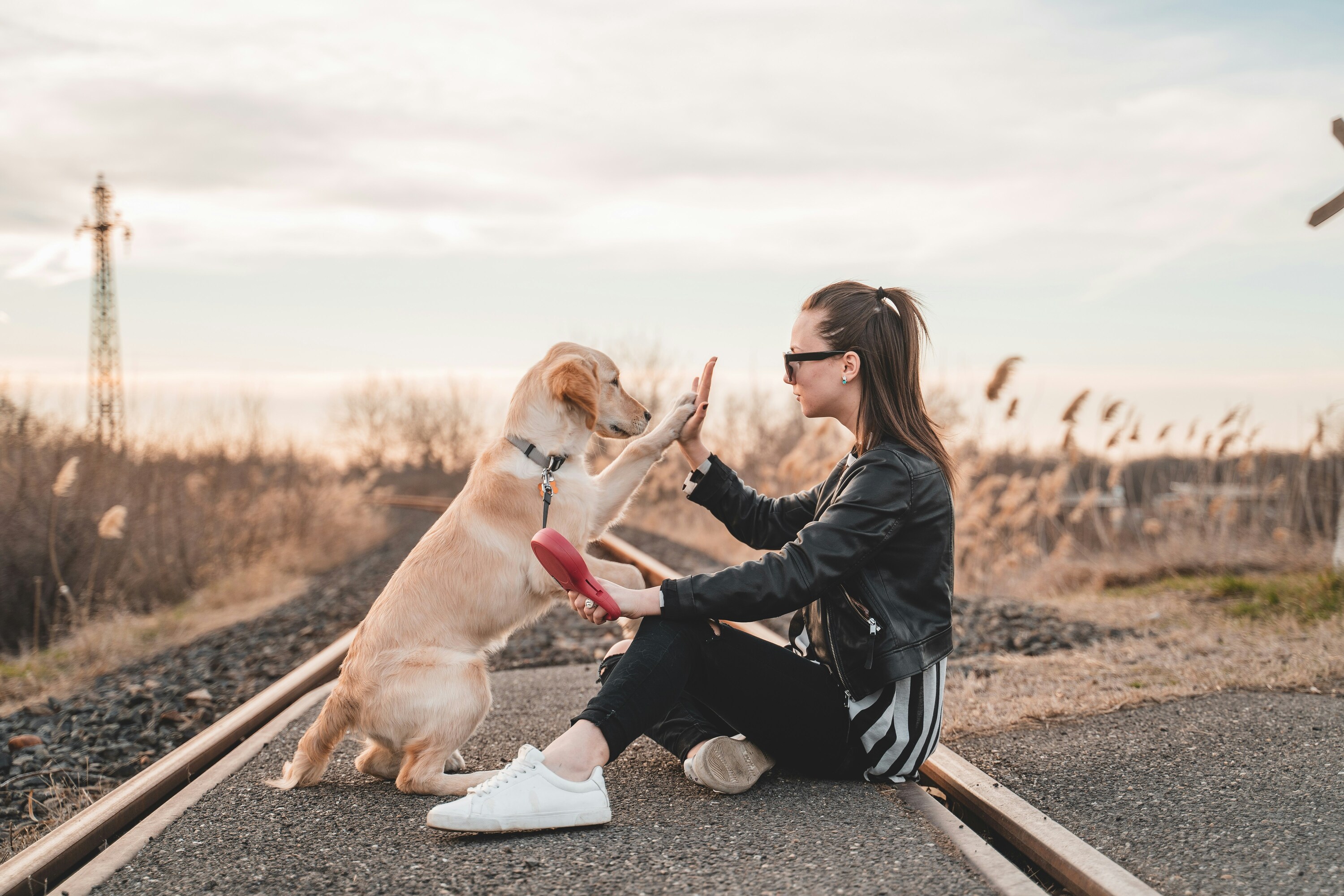 Une femme et son chien se faisant un check