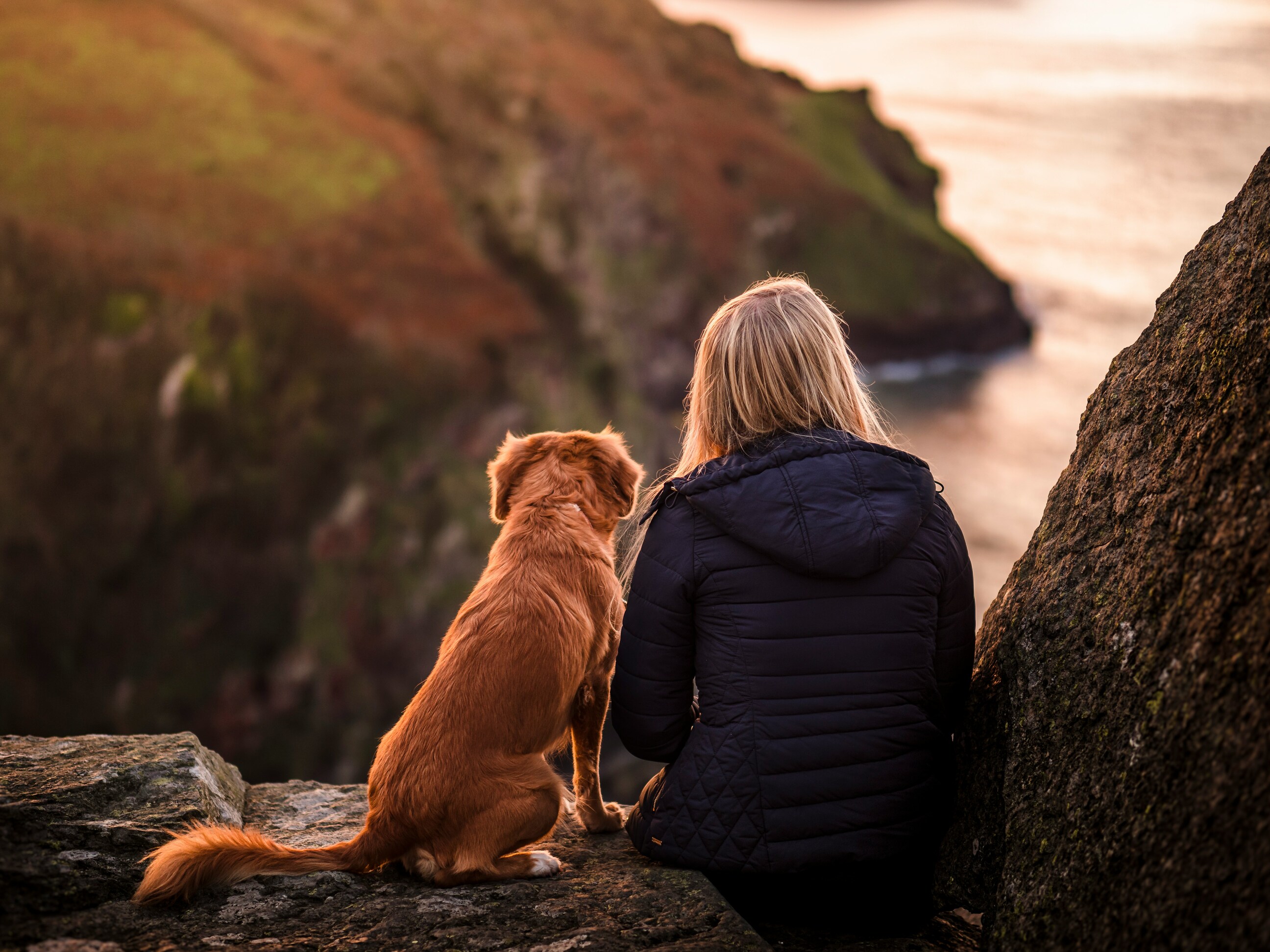 Une femme et son chien assis de dos au coucher du soleil au bord d'une falaise.