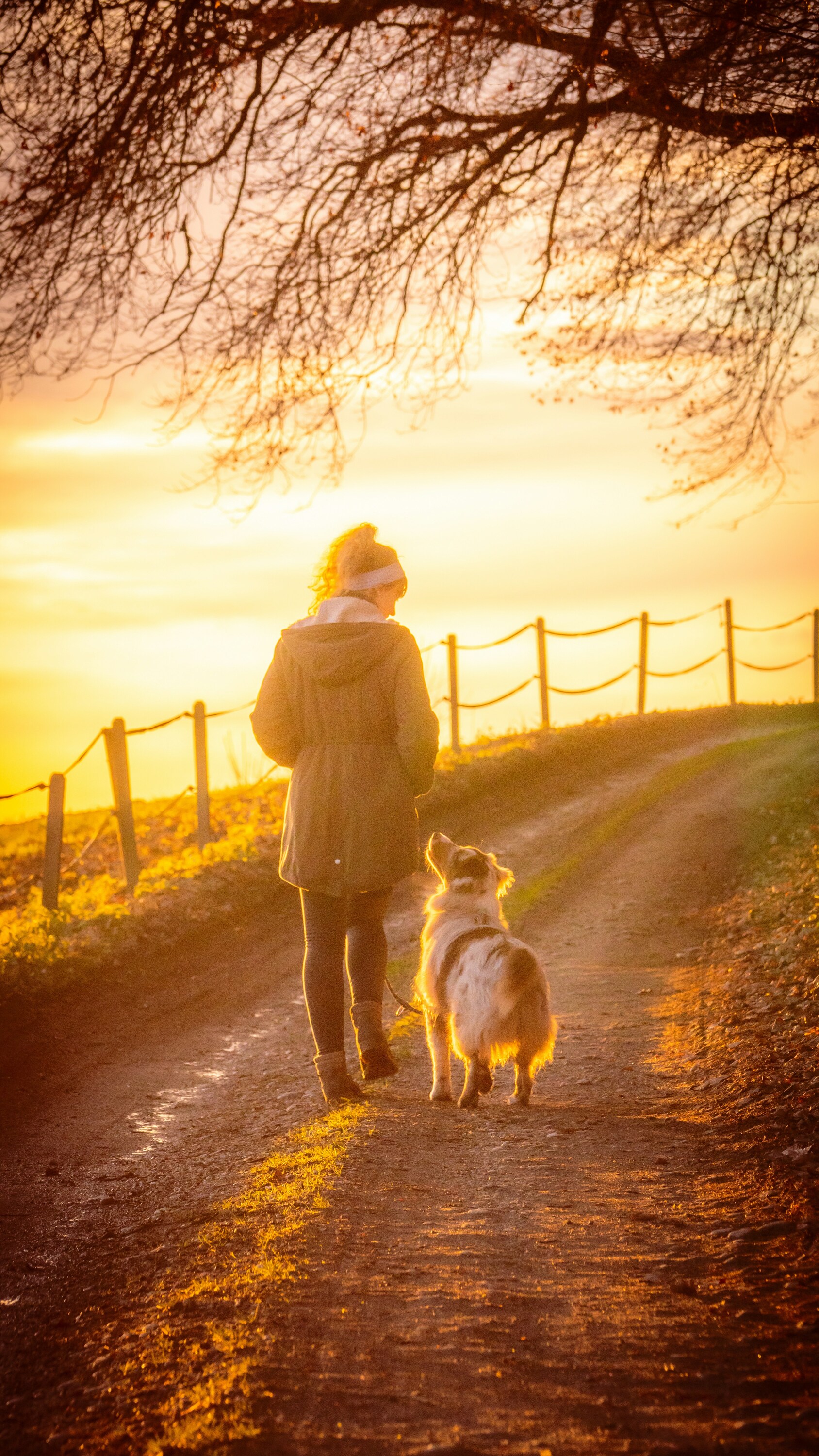 Femme qui se promène avec son chien lors d'un coucher de soleil