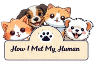 How I Met My Human Logo