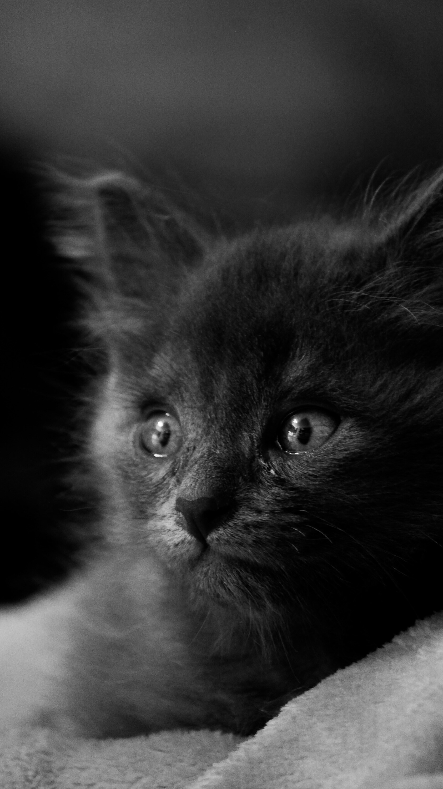 Photo partagée par Floboubou